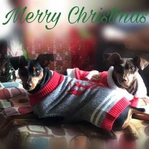 Meet your Posher, Monique